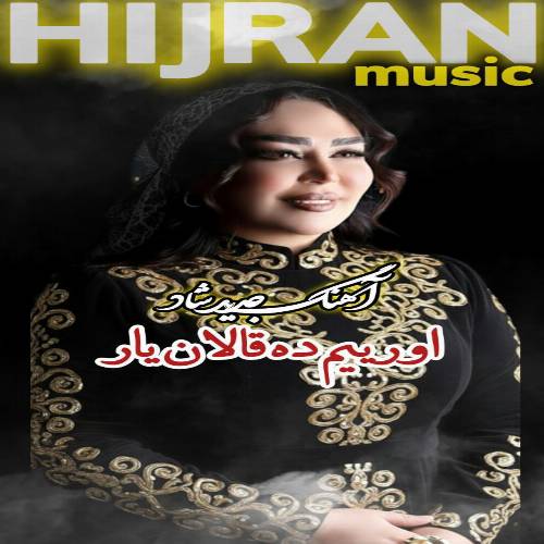 دانلود آهنگ نقدر واردی دونیا اورییمده یرین وار از دیجی هیجران